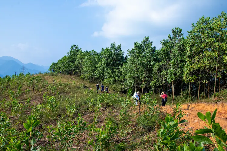 3-Day Da Bac Mountain Bike Tour: Vietnam's Untouched Mountains